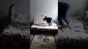 VID_20250802_162225.mp4