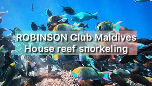 ROBINSON Club Maldives house reef snorkeling, июль 2025