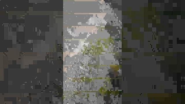 день вдв