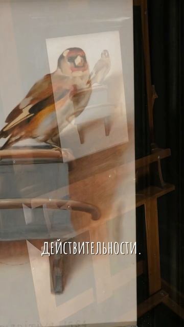 Карел Фабрициус «Щегол» смотреть онлайн