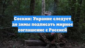Соскин: Украине следует до зимы подписать мирное соглашение с Россией