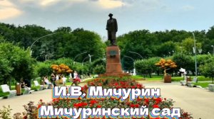 И.В. Мичурин. Мичуринский сад