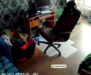 У кота личные счёты с этим стулом😁