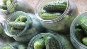 Хрустящие огурчики на зиму