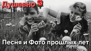 🔥Популярнейшая песня - её пели все в СССР 70-х🔥Душевная песня "Лежала Роза" - Ностальгия!!!