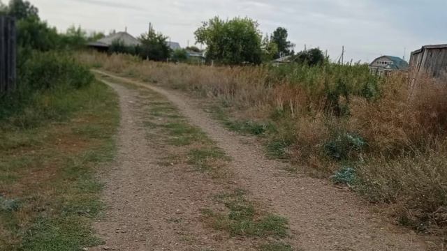 Разыскивается Стив полиция 1 часть