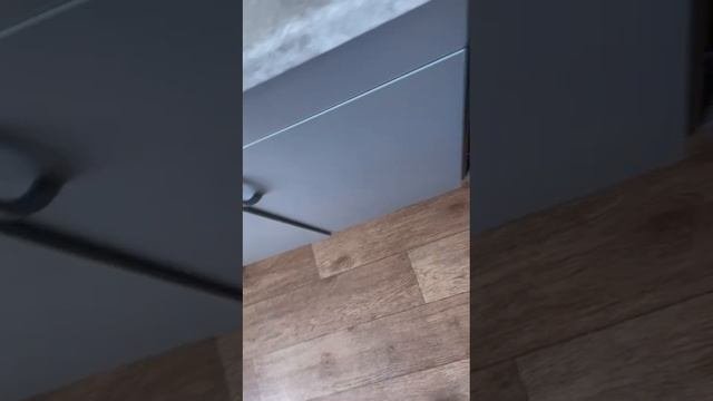 Содержание