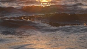 В океане часть 16