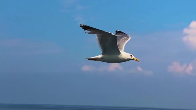 УСПОКАИВАЮЩАЯ ОЧЕНЬ КРАСИВАЯ РАССЛАБЛЯЮЩАЯ МУЗЫКА