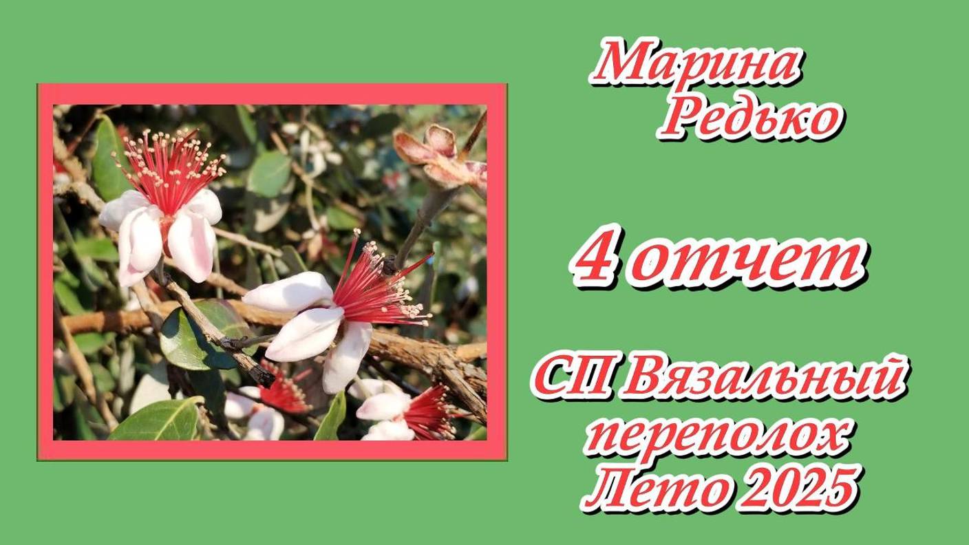 СП "Вязальный переполох Лето 2025" / 4 отчет смотреть онлайн