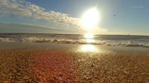 Моцарт Соната для фортепиано. №16. 1 часть.