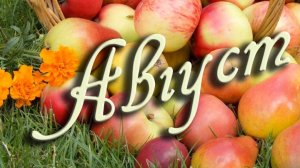 Лия Брагина -Август🪗🪗🪗