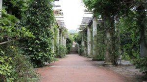 5815357-hd_1920_1080_25fps