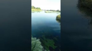 Утро у Река