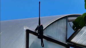 сатком,их родители.