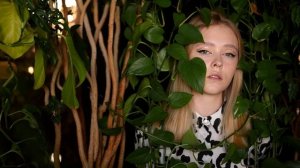 7973455-hd_1920_1080_30fps