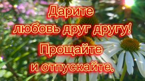 Дарите любовь друг другу! Прощайте и отпускайте.