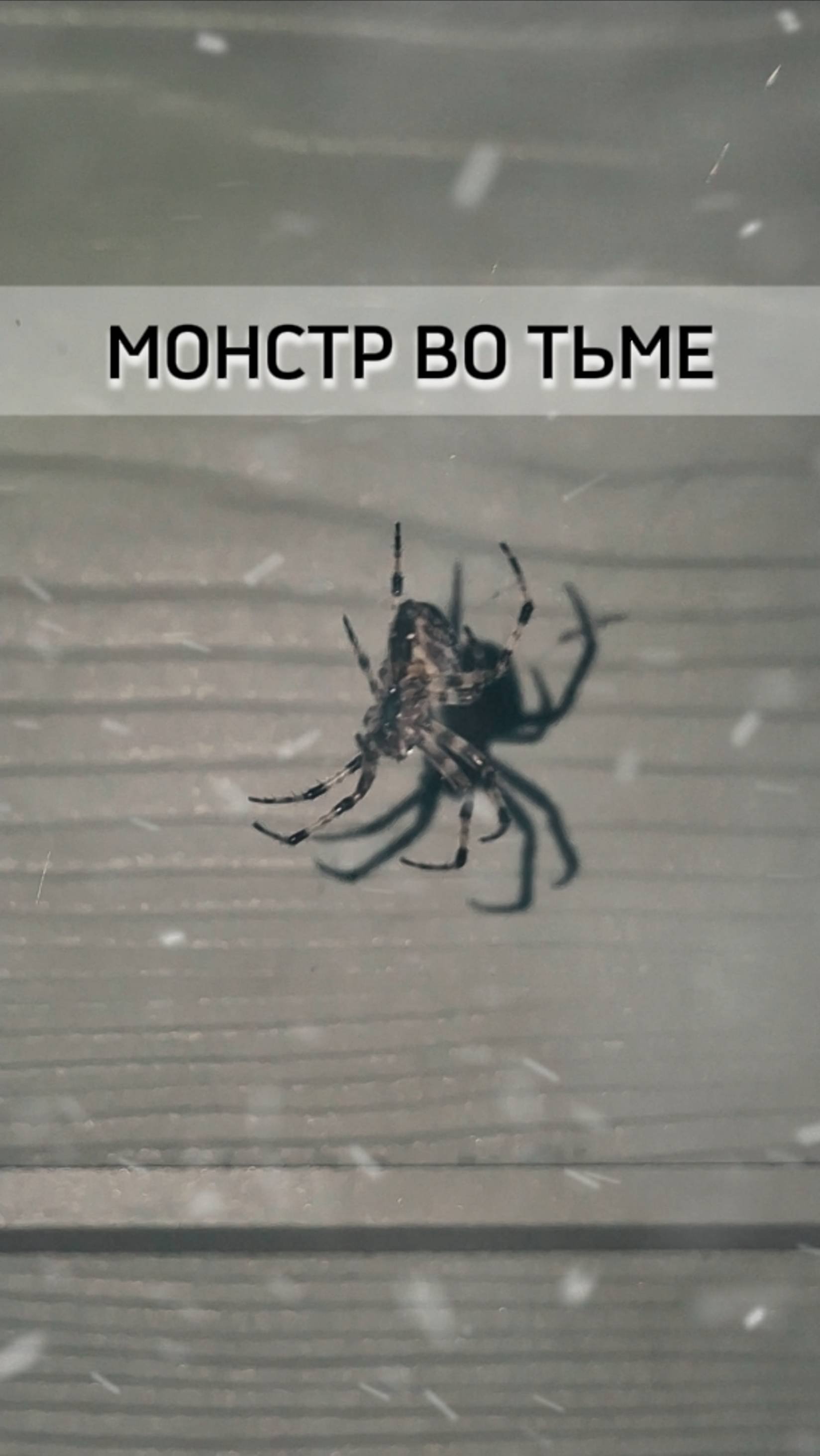 MONSTER ВО ТЬМЕ