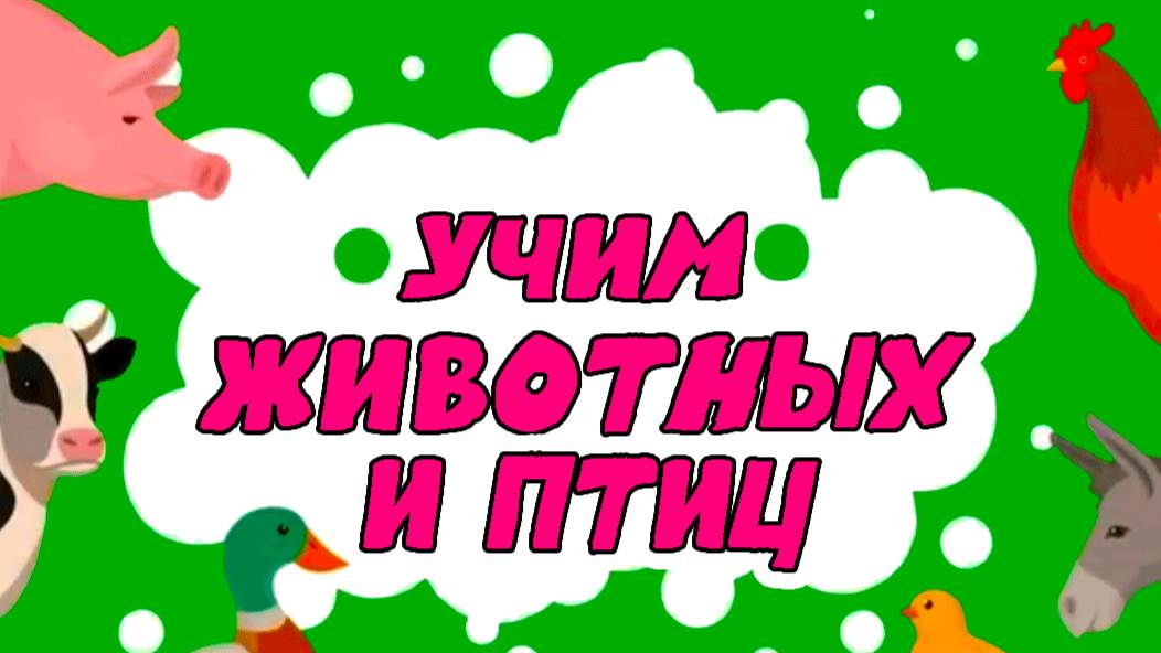 Учимся говорить по картинкам