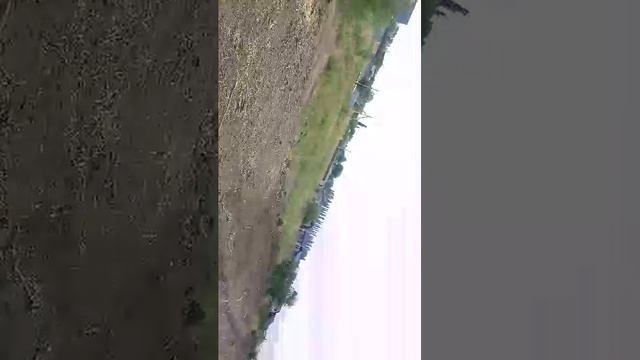 гуляем