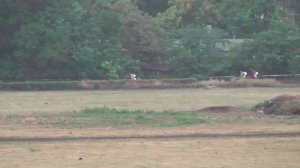 3.08.2025г скачка № 2