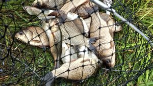 Рыбалка на озёрах Амурской области.