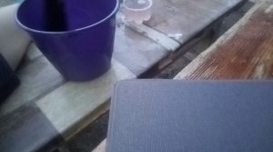 VID_20250727_201315.3gp