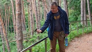 Кисловодский парк. Сойки