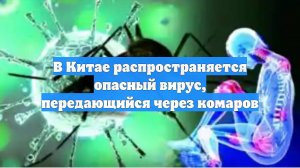 В Китае распространяется опасный вирус, передающийся через комаров