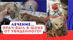 Трепанации черепа у нас ещё не было