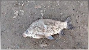 На рыбалке 🙂