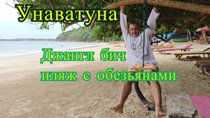 Джангл бич - пляж с обезьянами . Шри - Ланка , Унаватуна .