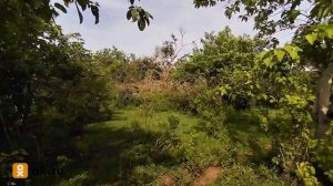 Trayecto Santa Rosa-Coamanco-Amate Redondo