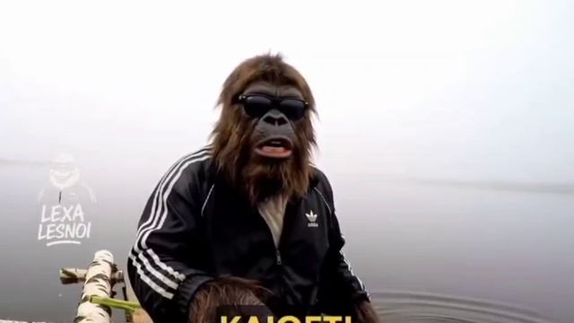 Лёха лесной и русалка смотреть онлайн