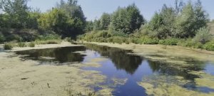 Как дела в деревне Ильинка