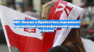 NDP: Польша и Прибалтика переживают крупнейший демографический кризис в Европе