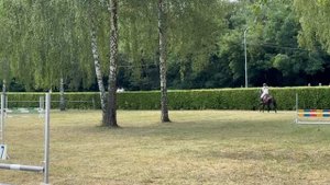 В парке Победы прошли соревнования по конкуру, посвящённые Дню физкультурника