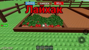 Лайхак в Вырасти сад 🌶️ в Роблокс