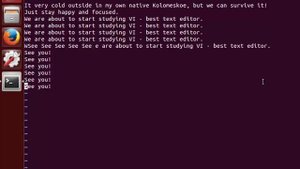 LPIC 103.8 Текстовый редактор Vi