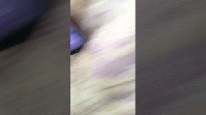 Продолжение 2 как мой друг предал меня и выкинул из Продолжение 2 как мой друг предал меня и выкинул