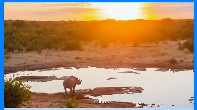 Power Up  4 - Unit 2 - Cross-curricular Save our world