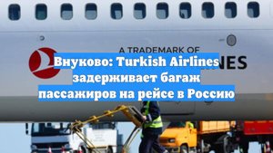 Внуково: Turkish Airlines задерживает багаж пассажиров на рейсе в Россию