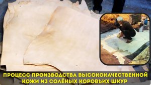 Процесс производства высококачественной кожи из солёных коровьих шкур