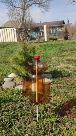Легкий бриз.