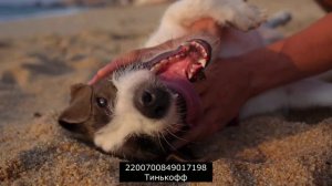 МБА взыскивает несмотря на проигранный суд