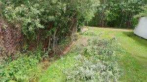 27-06-2025 Чищу сточную канаву, сточную канаву на даче вдоль забора.