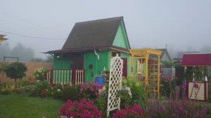 Туманный видео привет с 6 соток 3 августа 6 часов утра