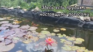 Пеший поход к "Медовым водопадам"