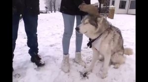 Мой фильм