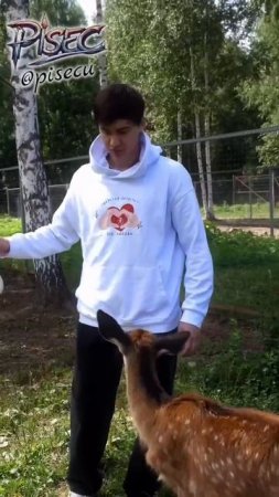 ТУДААА ЕГО🤪